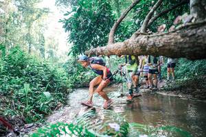 BIB: 
                            <button type="button" onclick="openModal(25454848)" class="btn btn-primary btn-sm float-right btn-popup" data-toggle="modal" data-target=".modal-high-quality">
                        <i class="fas fa-shopping-cart"></i> Add to Cart
                    </button>
                                            <button type="button" onclick="isThisMe(25454848, true)" class="btn btn-success btn-sm float-right btn-popup btn-isme hidden" data-toggle="tooltip" data-placement="bottom" title="นี่คือรูปของคุณใช่ไหม คลิกที่นี่เพื่อเอาเข้าอัลบั้ม">
                        <i class="fas fa-plus"></i> Add to album
                    </button>
                    <button type="button" onclick="isThisMe(25454848, false)" class="btn btn-warning btn-sm float-right btn-popup btn-isnotme hidden">
                        <i class="fas fa-ban"></i> Remove from album
                    </button>